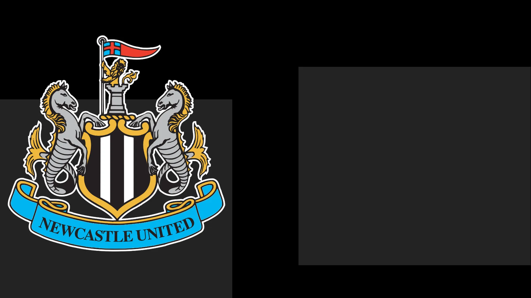 Newcastle's boss Hails Team's Determination – But That Only Carries Them This Far
