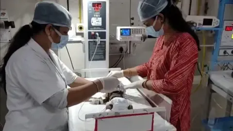 Infant Interred Alive in the Country Fights for Survival