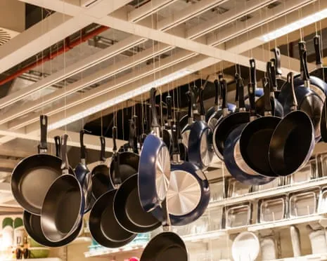PTFE Nutrition, Garlic Milk and Striped Cattle Excel at This Year's Alternative Science Prizes