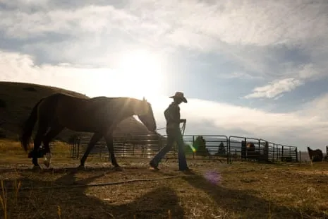 Discover the American Women Ranchers Transforming Modern Farm Life
