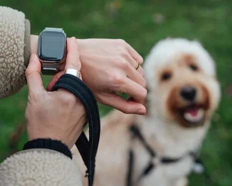 The Truth Concerning Fitness Trackers? Living Is Better Devoid of a Bossy Zealot on Your Wrist